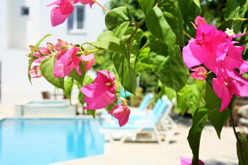 Parla Apart Hotel Çeşme Buitenkant foto